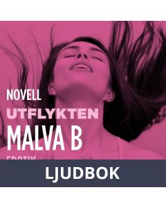 Utlykten : en novell ur Begär, Ljudbok
