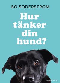 Hur tänker din hund?