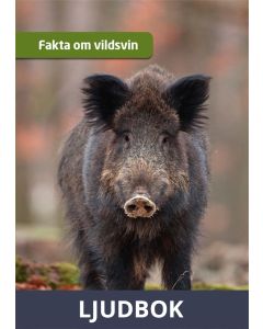 Fakta om vildsvin, Ljudbok