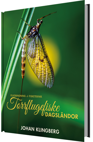 Torrflugefiske - Dagsländor