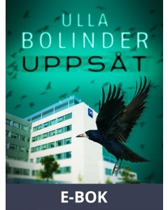 Uppsåt, E-bok