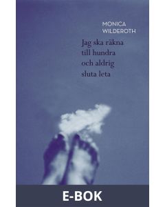 Jag ska räkna till hundra och aldrig sluta leta, E-bok