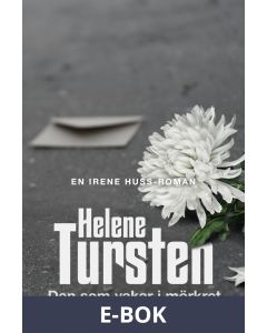 Den som vakar i mörkret, E-bok