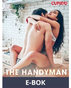 The Handyman on the Menu, E-bok