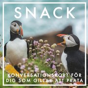 SNACK : Konversationskort för dig som gillar att prata (PDF)