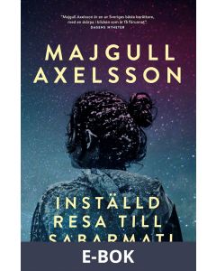 Inställd resa till Sabarmati, E-bok