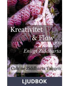 Kreativitet & flow enligt Ziddharta, Ljudbok