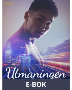 Utmaningen - erotisk novell, E-bok