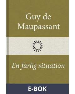 En farlig situation, E-bok
