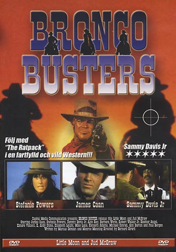 Bronco busters