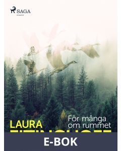 För många om rummet, E-bok
