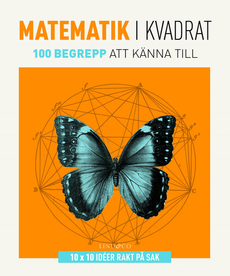 Matematik I Kvadrat - 100 Begrepp Att Känna Till