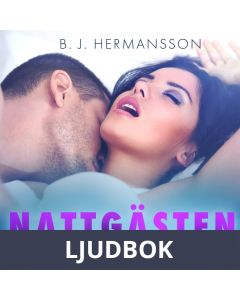 Nattgästen - 10 spännande erotiska noveller, Ljudbok