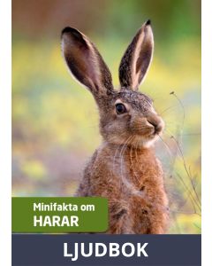 Minifakta om harar, Ljudbok