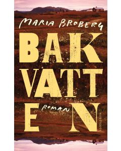 Bakvatten