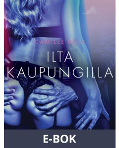 Ilta kaupungilla - eroottinen novelli, E-bok