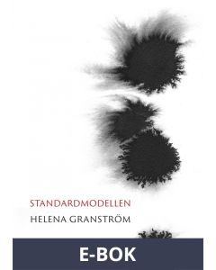 Standardmodellen, E-bok