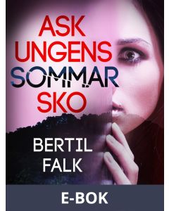 Askungens sommarsko, E-bok