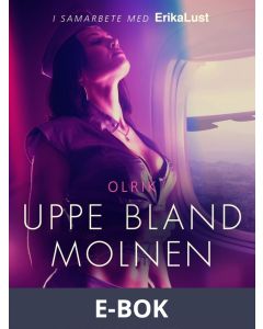 Uppe bland molnen - erotisk novell, E-bok
