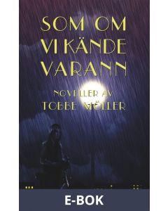 Som om vi kände varann, E-bok
