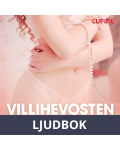 Villihevosten laakso - eroottinen novelli, Ljudbok