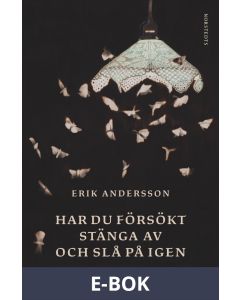 Har du försökt stänga av och slå på igen : Noveller, E-bok