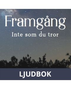 Framgång - Inte som du tror, Ljudbok
