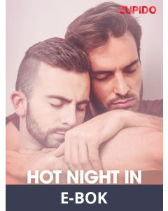Hot Night in the Sauna Club, E-bok