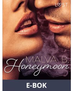 Desire 1: Honeymoon, E-bok