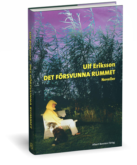 Det Försvunna Rummet - Noveller