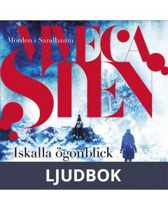 Iskalla ögonblick : Tio skärgårdsberättelser, Ljudbok