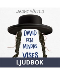 David den mindre vises protokoll, Ljudbok