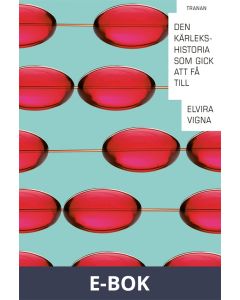 Den kärlekshistoria som gick att få till, E-bok