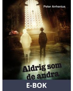 Aldrig som de andra, E-bok