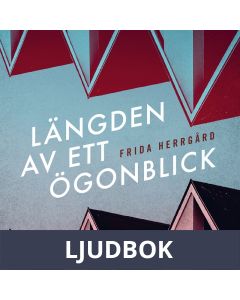 Längden av ett ögonblick, Ljudbok