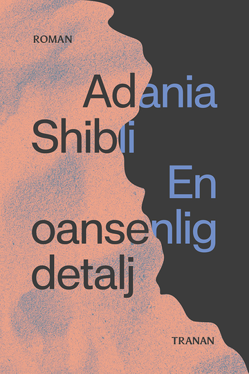 En Oansenlig Detalj