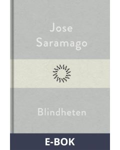 Blindheten, E-bok