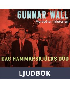 Dag Hammarskjölds död, Ljudbok