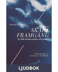 Skapa framgång - fri från kritiska tankar och stress, Ljudbok