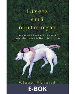 Livets små njutningar, E-bok