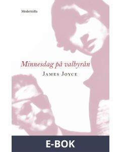 Minnesdag på valbyrån, E-bok