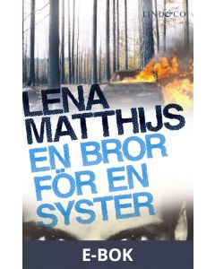En bror för en syster, E-bok