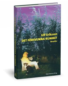 Det försvunna rummet : noveller