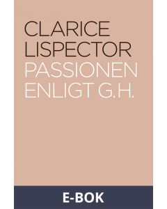 Passionen enligt G. H., E-bok