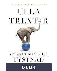Värsta möjliga tystnad, E-bok