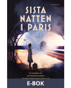 Sista natten i Paris, E-bok