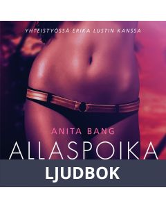 Allaspoika - eroottinen novelli, Ljudbok