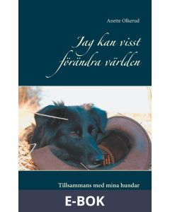Jag kan visst förändra världen: Tillsammans med mina hundar, E-bok