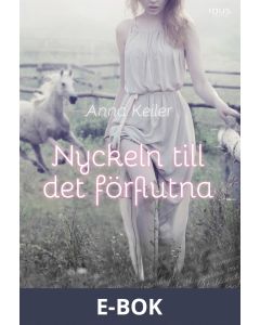 Nyckeln till det förflutna, E-bok