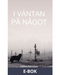 I väntan på något, E-bok